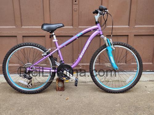 Schwinn Atlas ficha técnica y opiniones